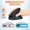Ergonomic Vertical Rechargeable Wireless Mouse